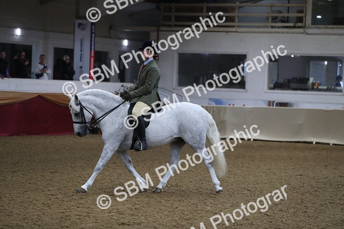 SBM_10421 - Class 102 Equitation (best rider) Adult