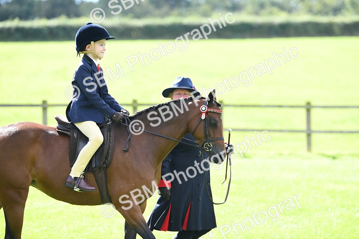 SBM_41131 - S19 - Lead Rein Show & Show Hunter Pony