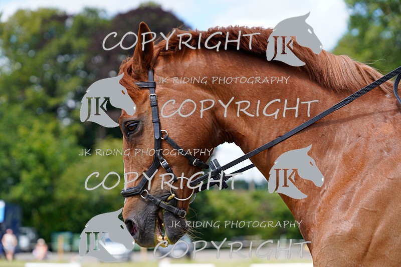 _DSC1234 - CLASS 4 NOVICE 1