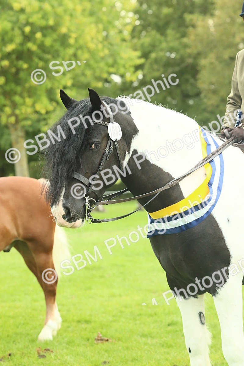 SBM_75220 - Super Supreme Championship