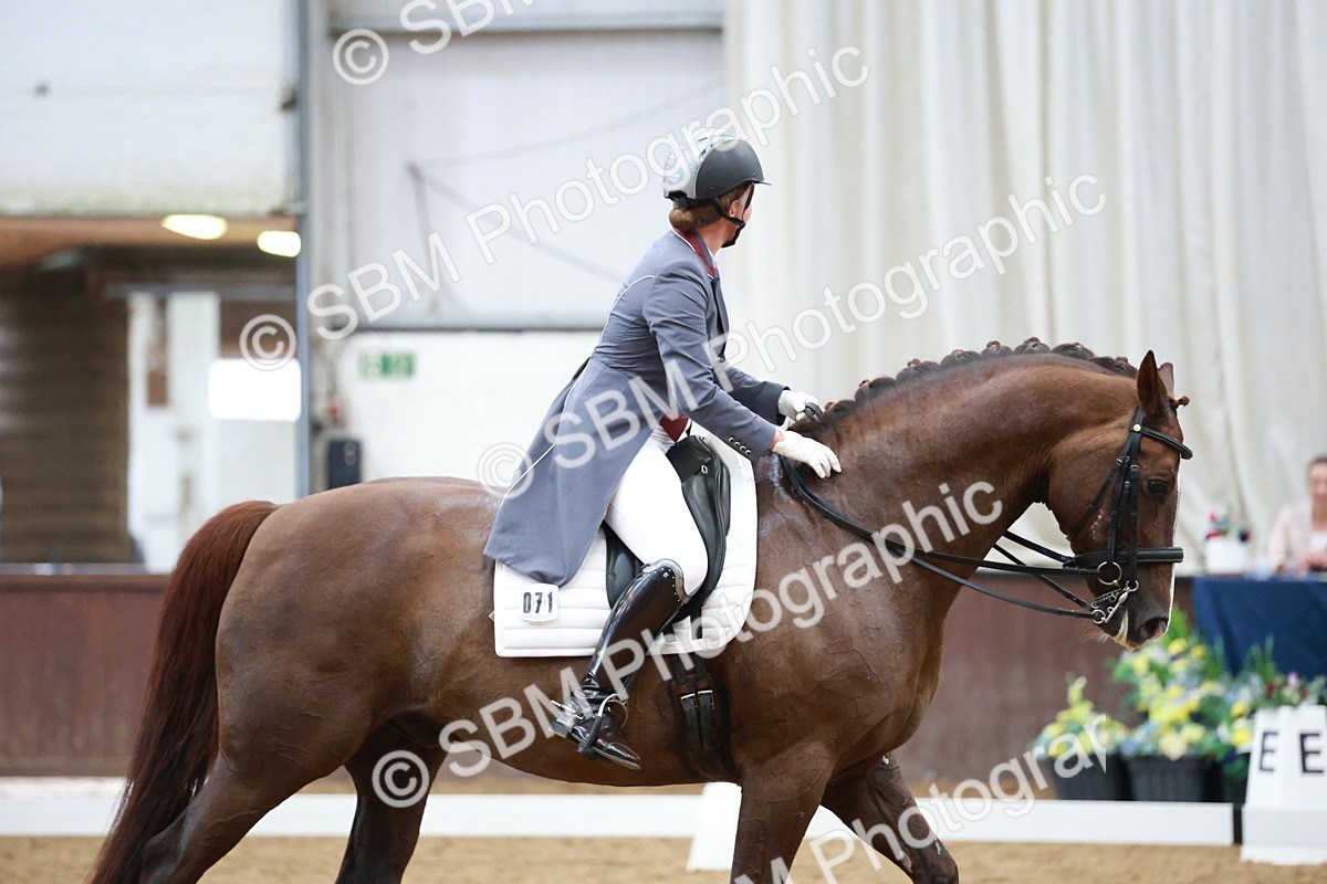 SBM_008799 - Class 14 - FEI PSG - 9.30-10.30