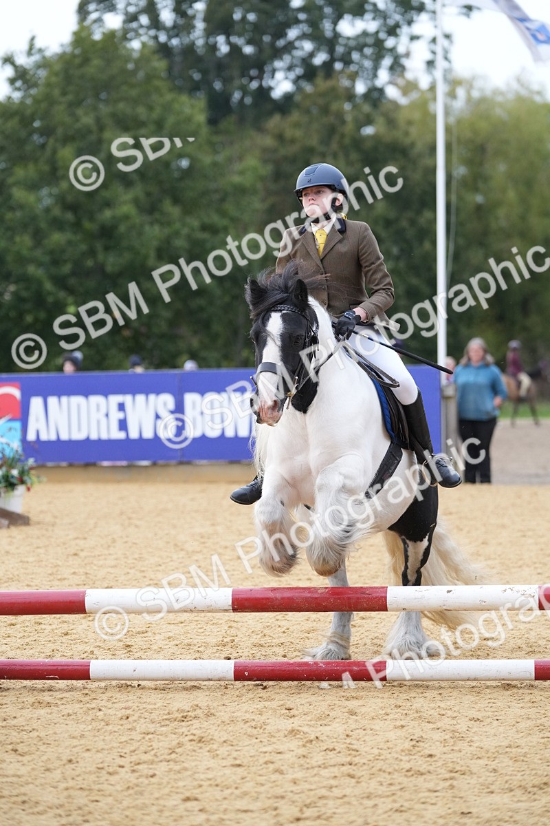 SBM_74863 - J4 - Mini Tour Junior Pony 45cm Championship