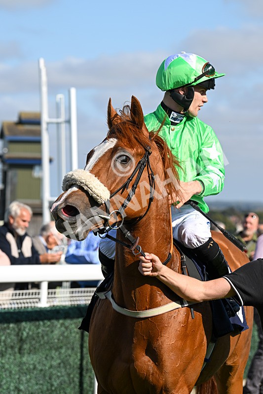 180924-Race 3-Beaujolais Nouveau-4288 - Race 3