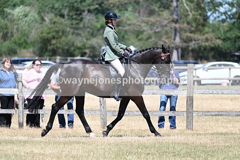 WJ7_3594 - Class 8 Ridden Veterans