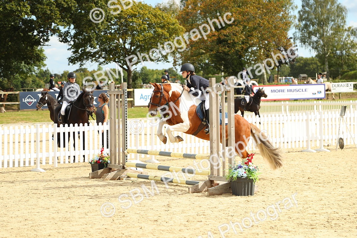 SBM_46446 - J7 - Junior Pony 60cm Championship