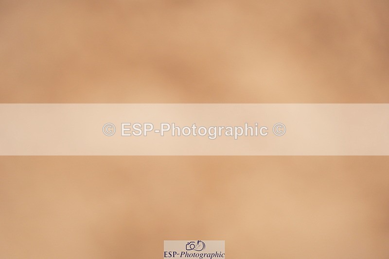 240506A-090538-07916 - Cls 11 Stepping Stones 128cm & 138cm