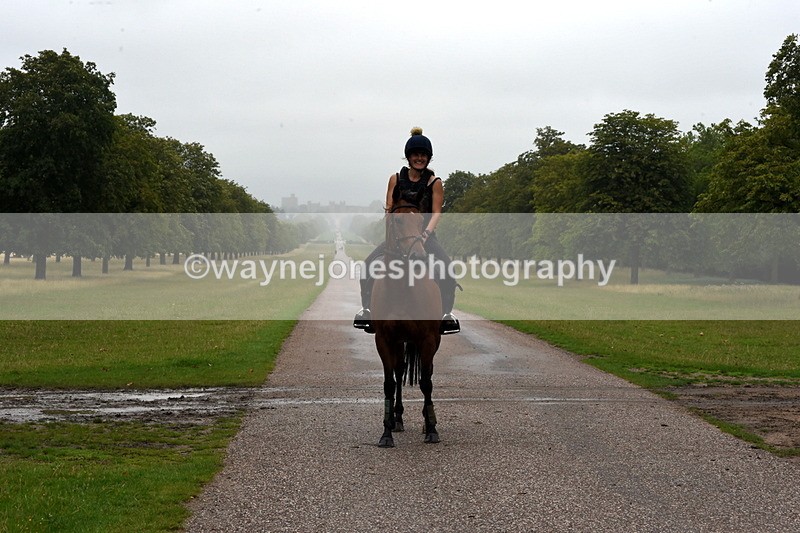 TT3_8336 - Time at Crossing 10:16 to 11:38