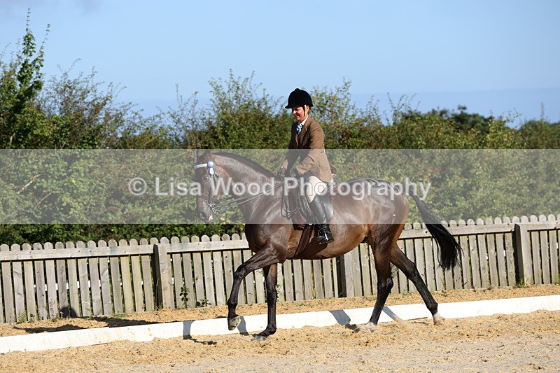 1X9A7598 - Class 7: Novice Ridden Hunter/Hack/Cob/Riding Horse