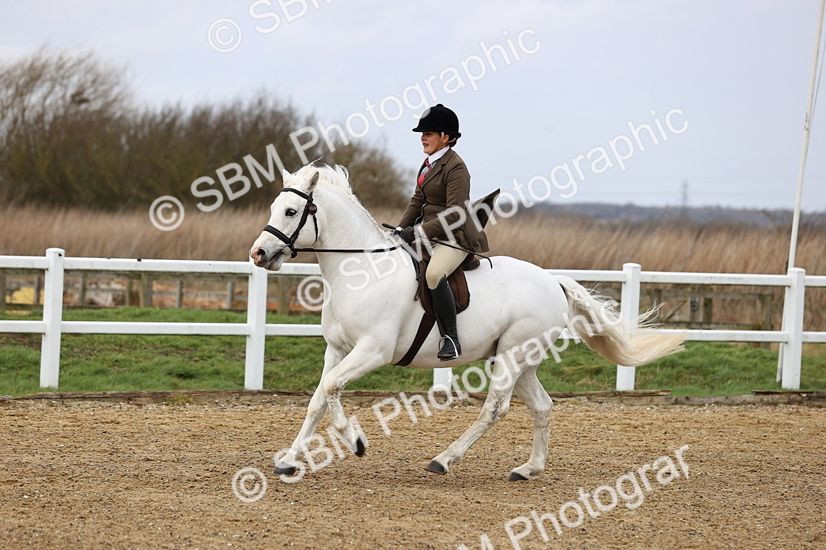 SBM_006936 - Class 29 - 30 - M&M Pure Novice Small-Large Breeds