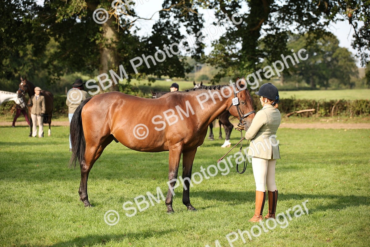 SBM_60101 - S53 - Hunter In Hand