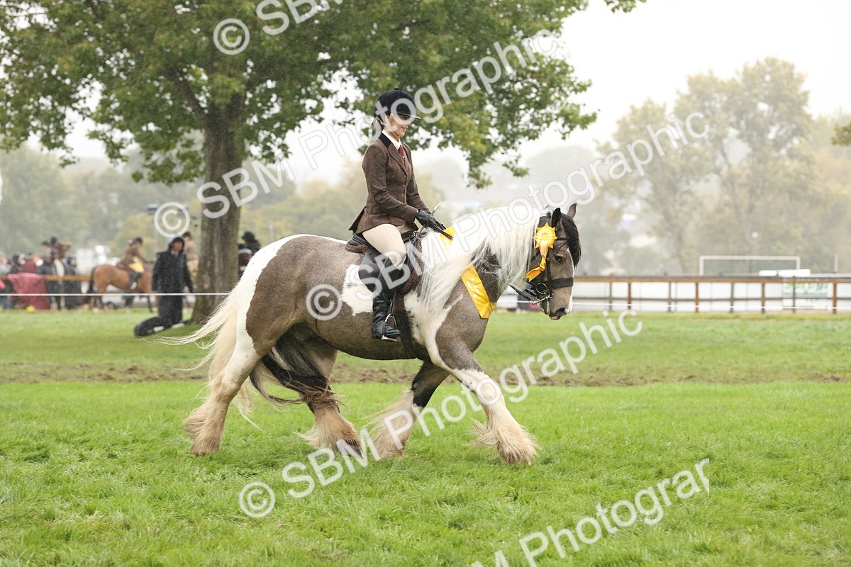 SBM_72889 - Ridden Horse Supreme Championship