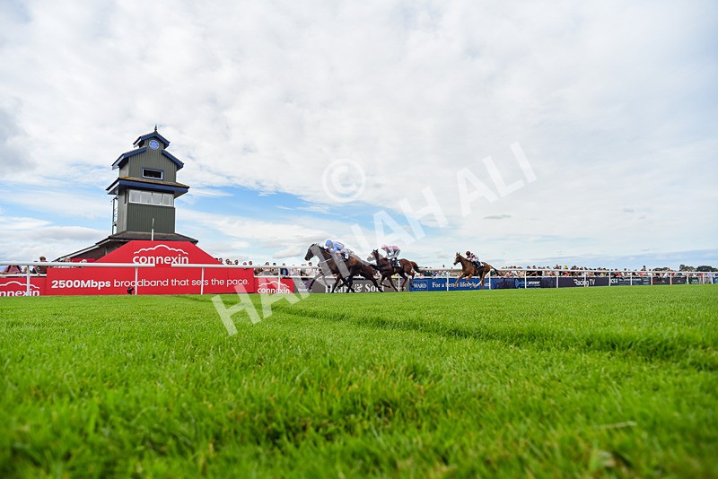 050725-Race 6-Dandys Angel-5479 - Race 6