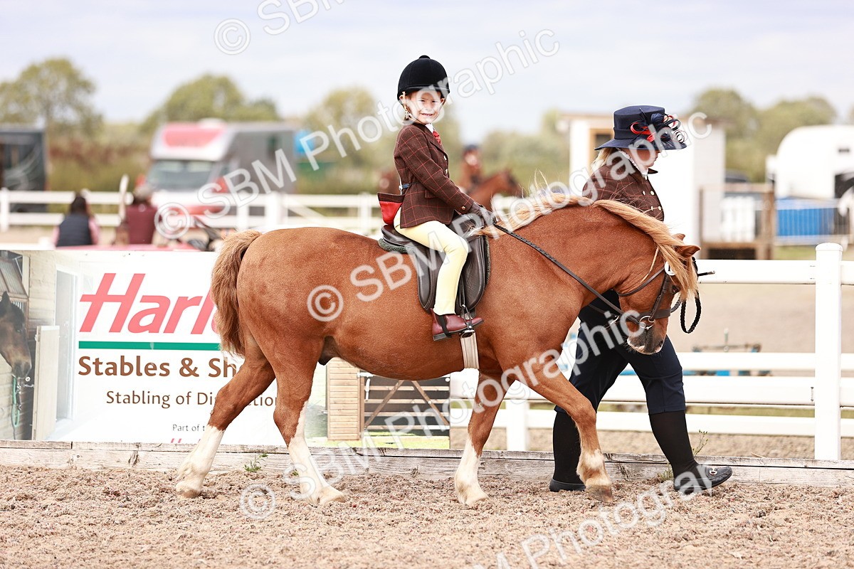 SBM_18295 - Class 417 - Handsome Gelding (IH or Ridden - JNR)