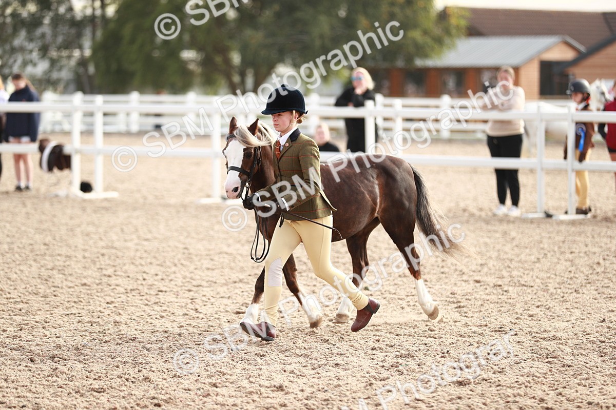 SBM_10585 - Class 204 Young Handler, 11-16 years