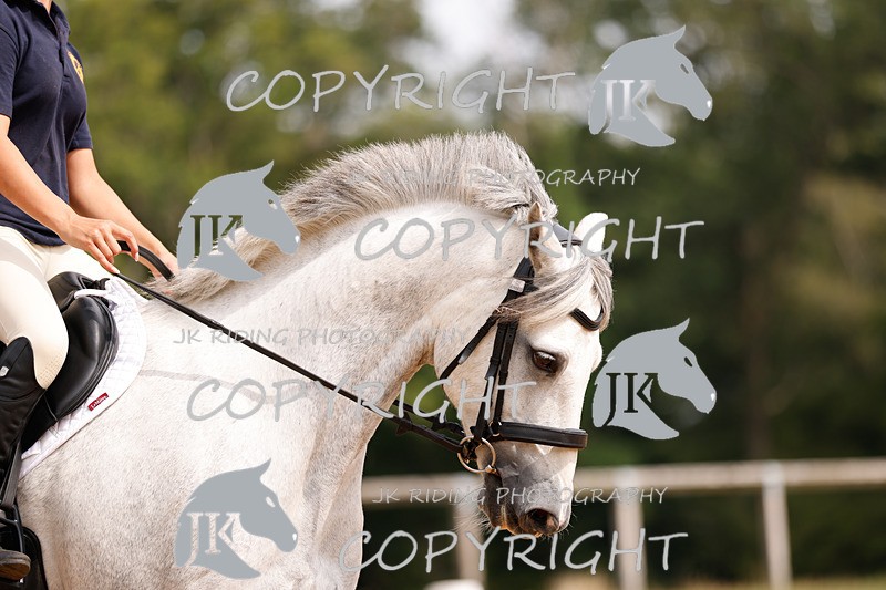 _R6A2793 - Dressage Morning