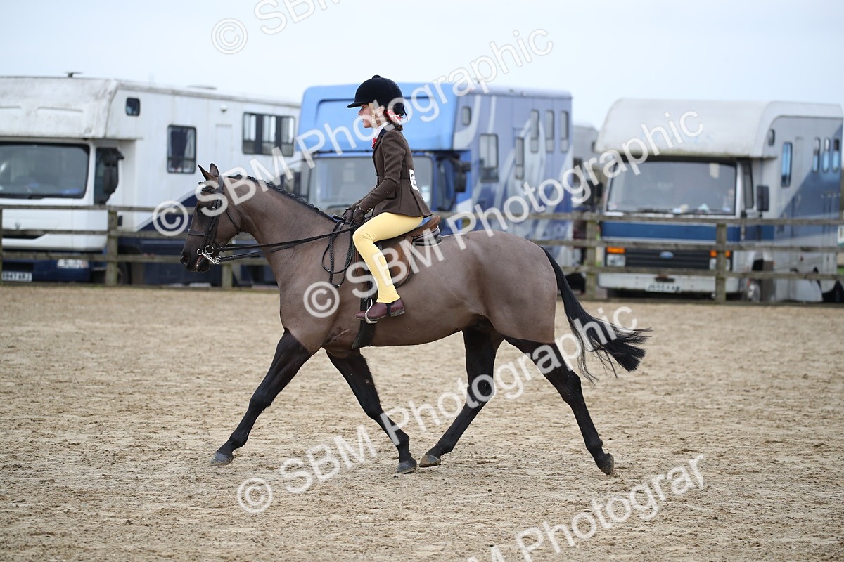 SBM_004661 - Class 5-9 - NPS In Hand-Show Hunter-Intermediate Ridden Inc Ridden Championship
