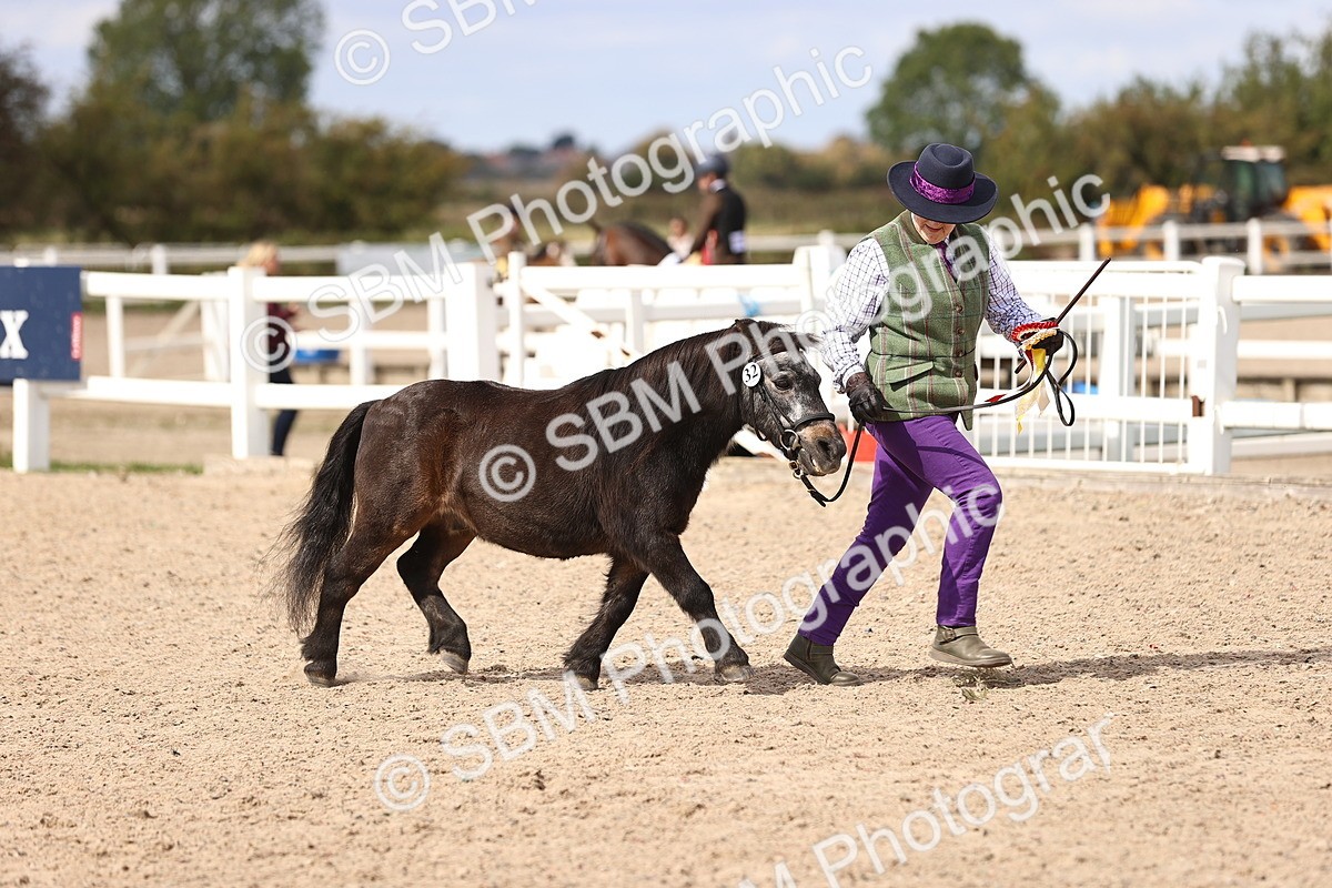 SBM_14234 - Class 415 - Horse-Pony judge would most like to take home (IH or Ridden)