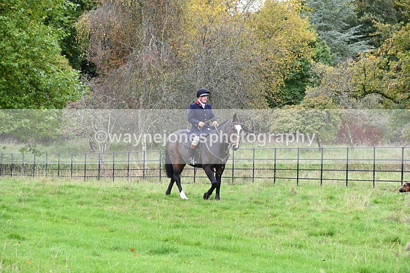 WJ6_0090 - Camera 2 Meet