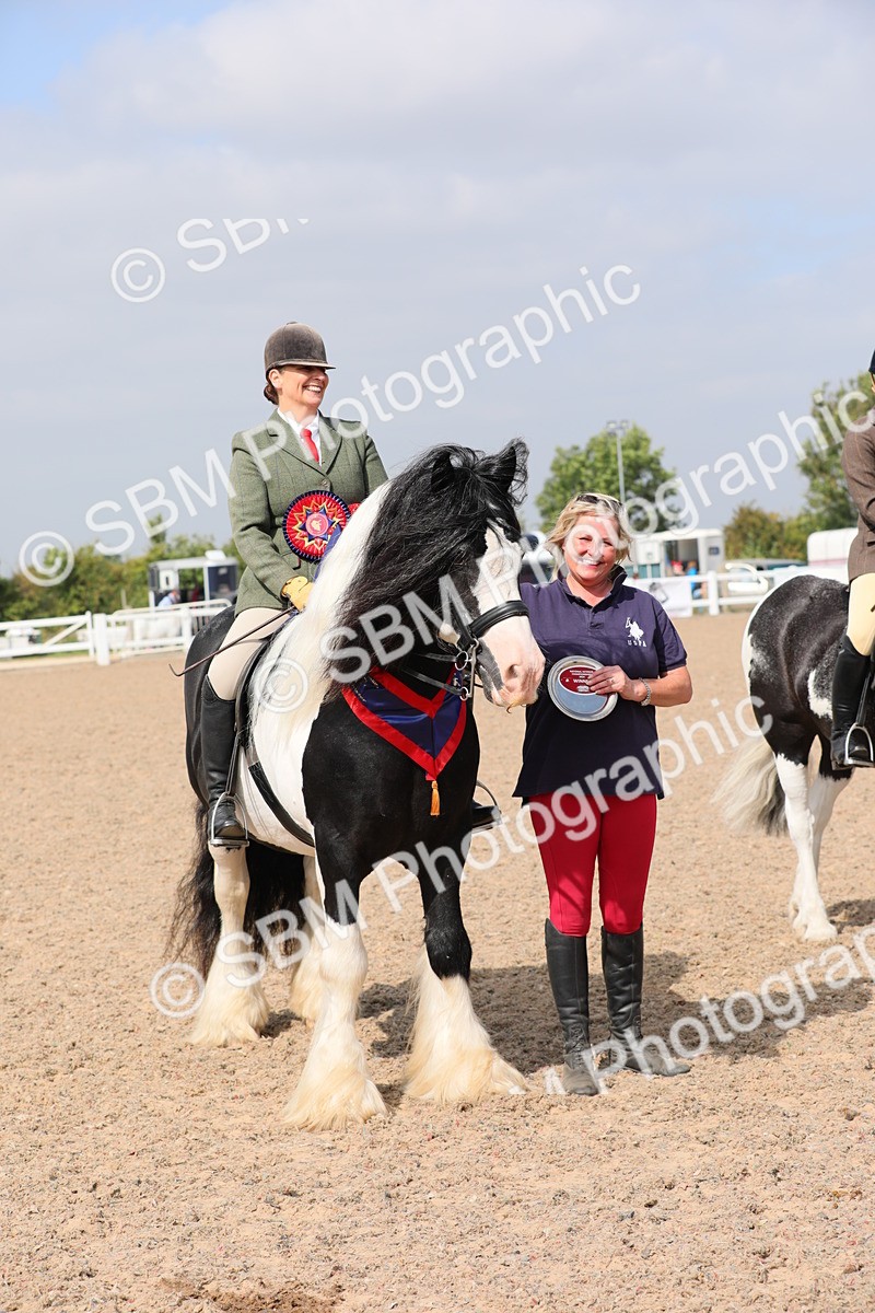 SBM_12842 - Class 307 Ridden Coloured Pony
