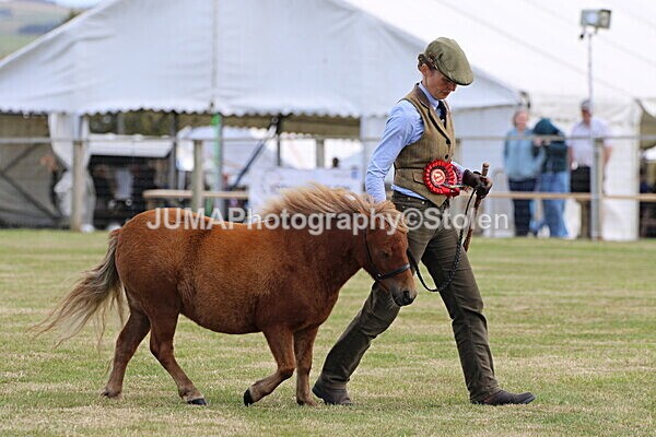 SIAL5109 - overall champion