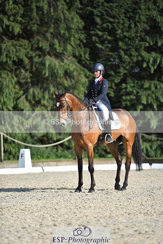 230525-175925-03650 - 132-OGUE_VERDI-Kitty_King-WEDTrotUp+DR