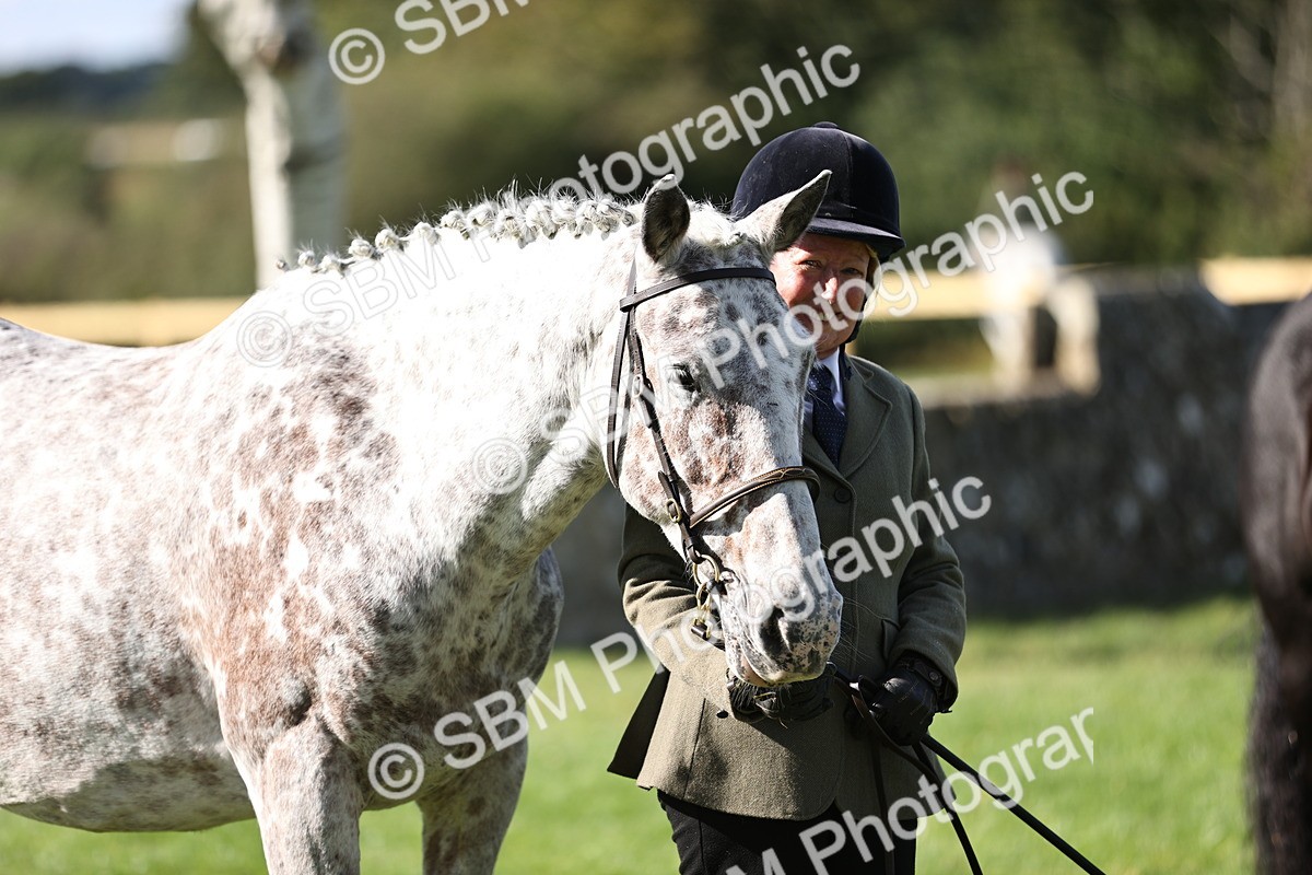 SBM_26215 - S5 - Novice & Newcomers In Hand