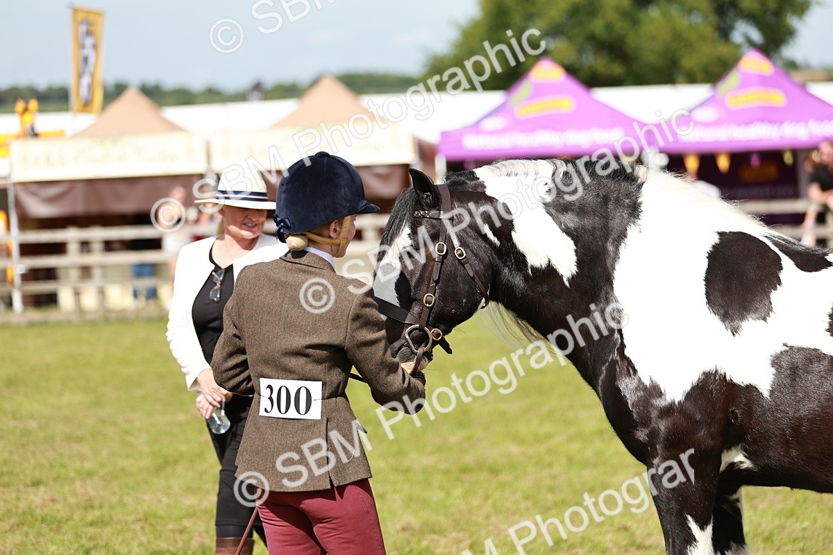SBM_08827 - Class 63-65 - Traditional Gypsy Cobs In Hand & Ridden
