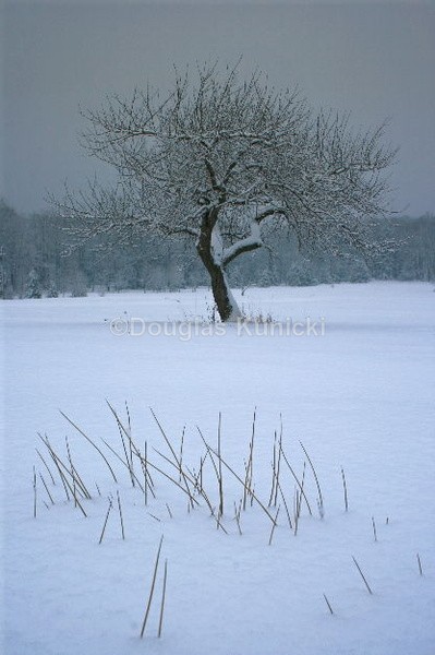 Frozen in Time - Fall and Winter