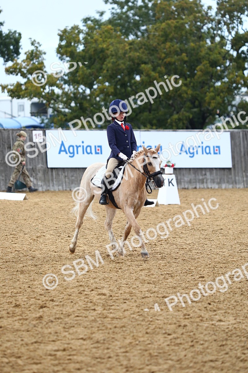 SBM_39047 - D21 - Junior Championship Intro 1