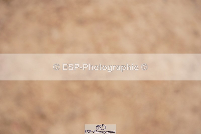 240506A-083604-07747 - Cls 11 Stepping Stones 128cm & 138cm