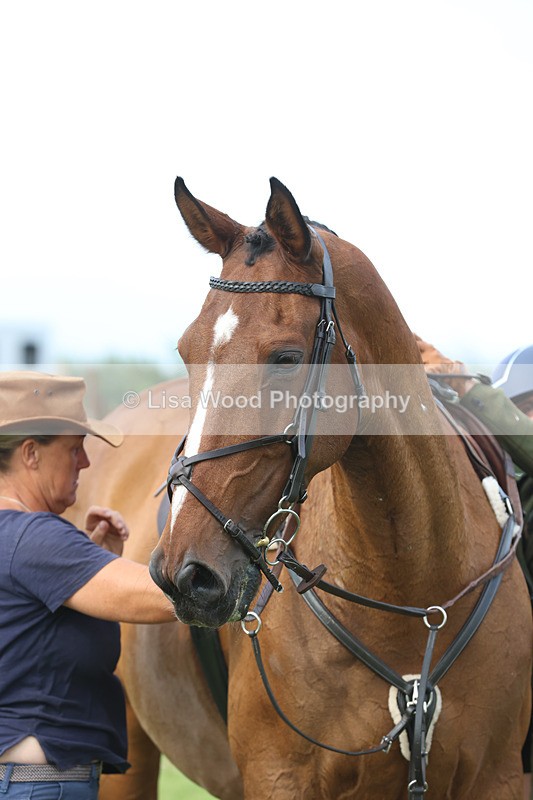 JPP_4499 - Class 26: Working Hunter 1m