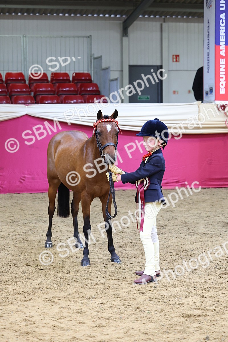 SBM_22953 - Class 903 - Supreme Final - IH Pre Vet