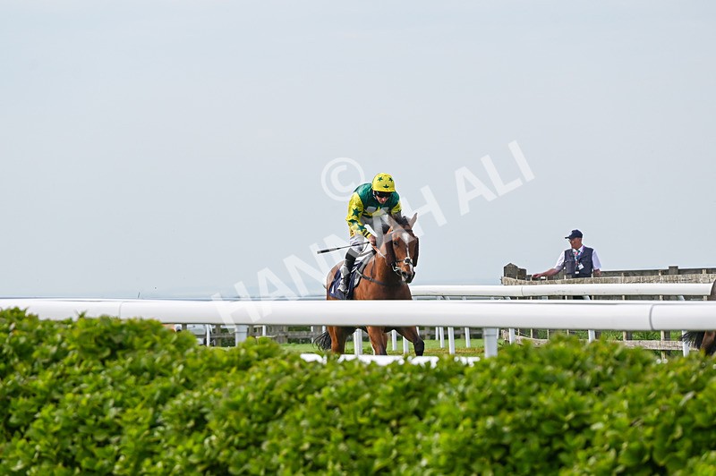 040526-Race 8-Coolree-4391 - Race 8