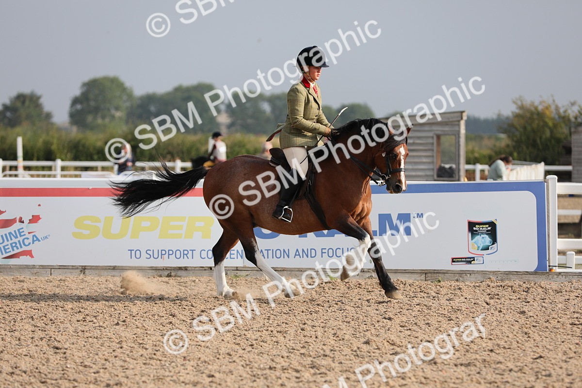 SBM_10101 - Class 302 Ridden M&M -Large Breeds