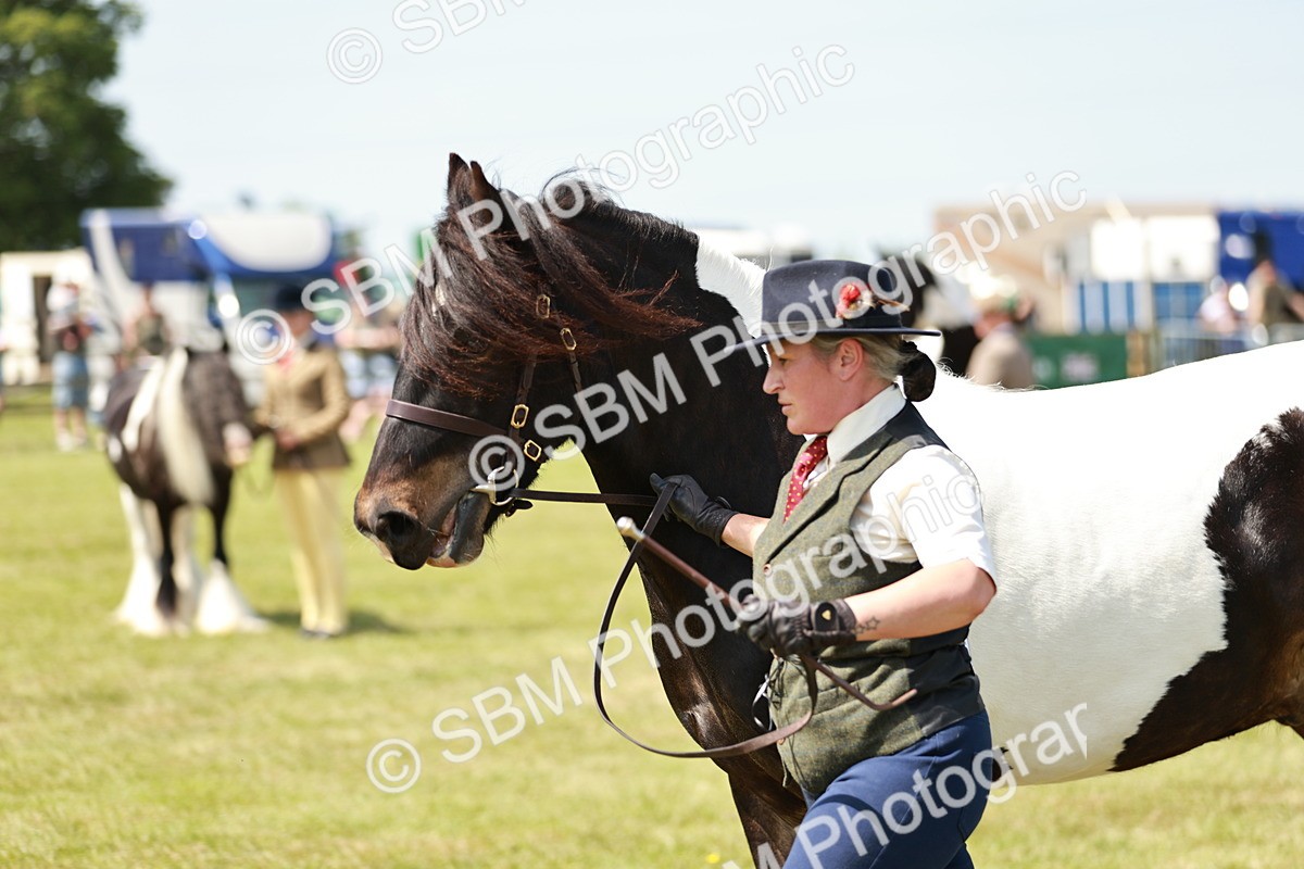 SBM_04178 - Class 39-40 - BSPA Coloured In Hand