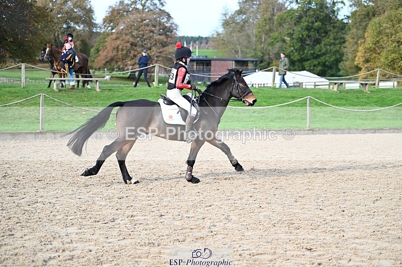 241117-105014-03286 - Cls 2 80-85cm 10.20 to 11.20