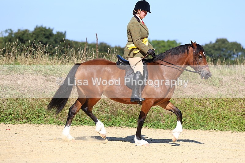 3E7A7993 - Class 14: Tack and Turnout