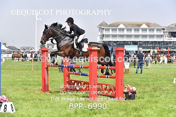 BPP_6990 - CLASS 3 RHS Fox Champ Qual (1.20m)