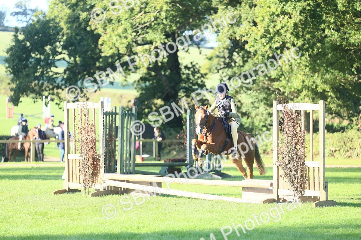 SBM_33380 - S28 - Nursery Stakes Working Hunter Pony