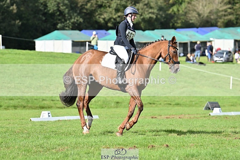 231020-143911-10945 - 667-BAILE.NA.CROISE-Emma.Pine-DR