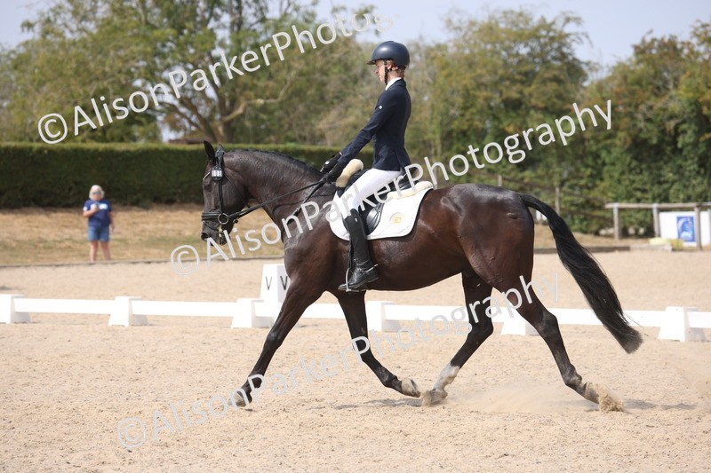 20260816-1087 - Class 4 - Novice 6