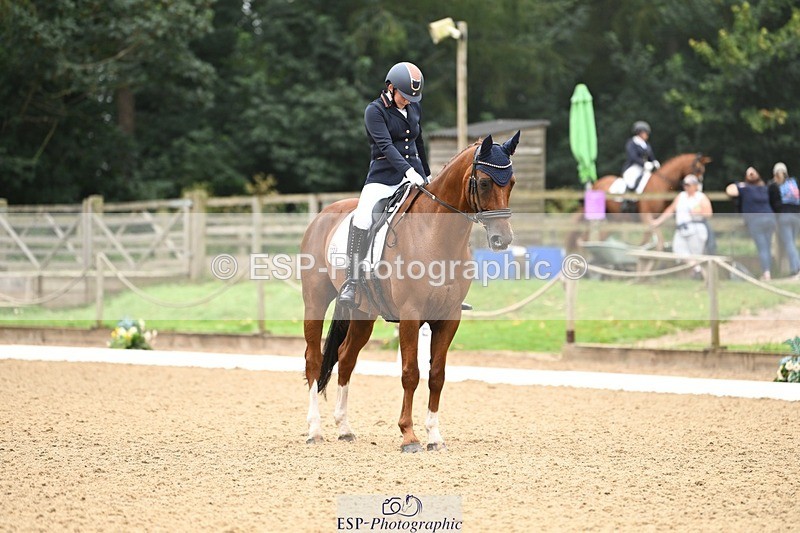 240811-102356-05009 - 110-Helen.Kitto-Da.Vinci.IV