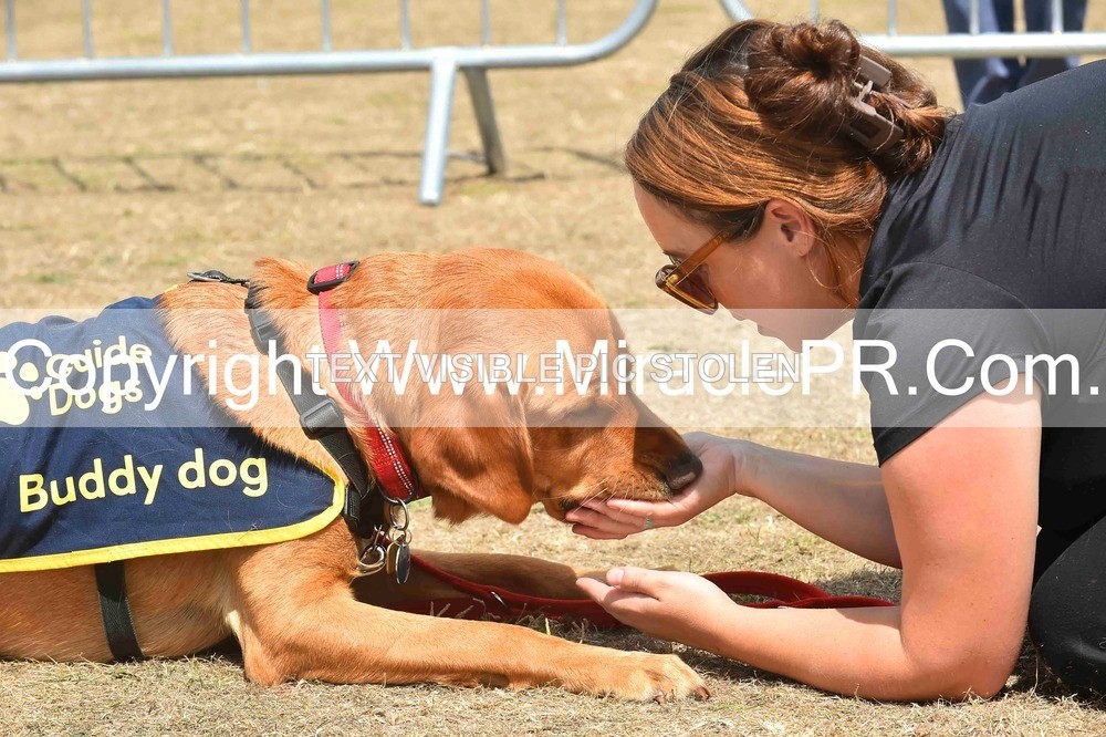 SH4_0246 - Dog show.