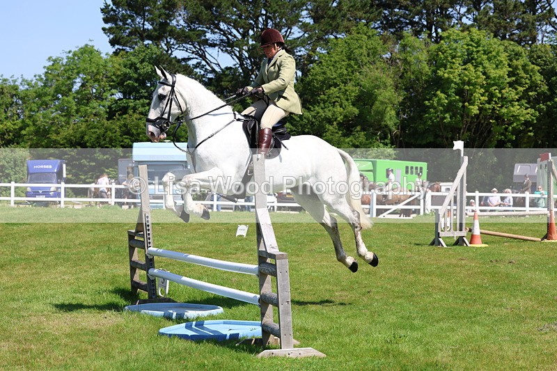 3E7A6905 - Class 30: Novice Working Hunter
