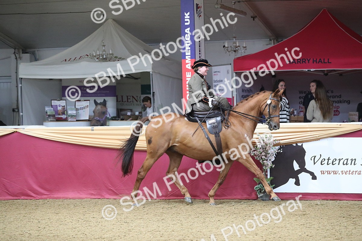 SBM_11523 - Class 105 Ridden Costume- Side Saddle