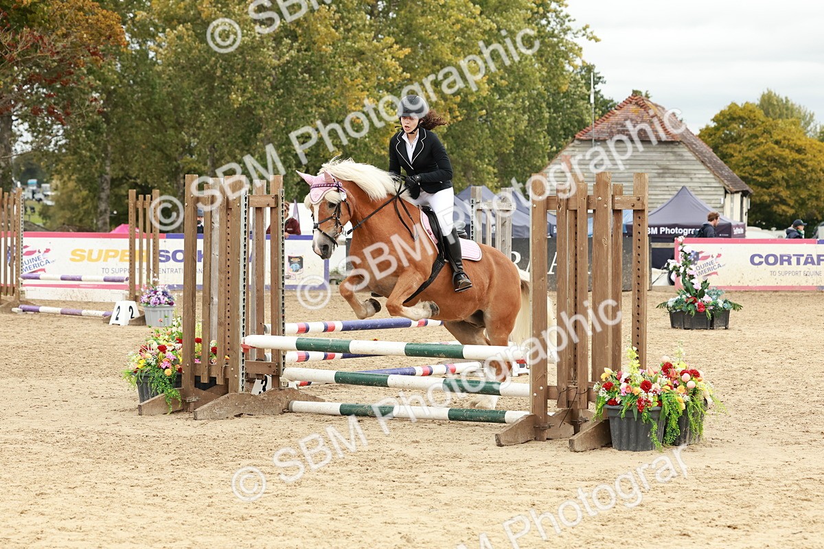 SBM_67101 - J13 - Junior Pony 60cm Championship