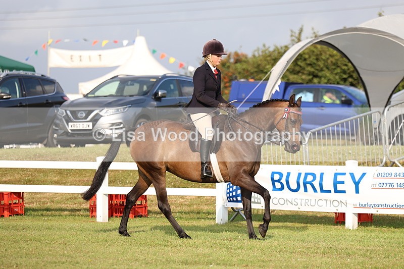 3E7A7682 - Class 1: Rising Star Small Hack/Riding Horses