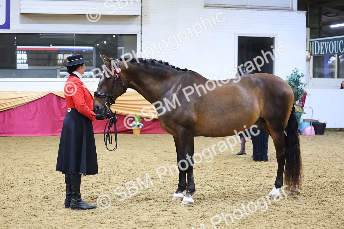 SBM_20882 - Class 902 - Supreme Final IH Veteran