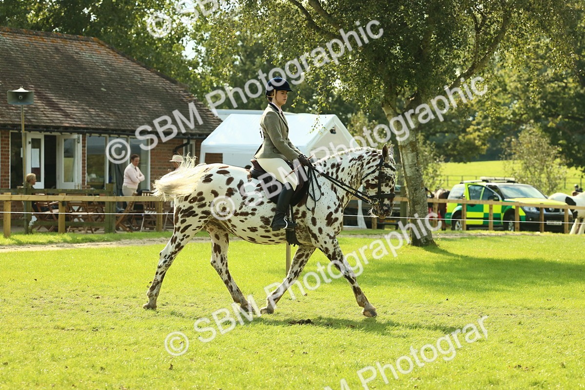 SBM_62389 - S62 - Foreign Breeds Ridden