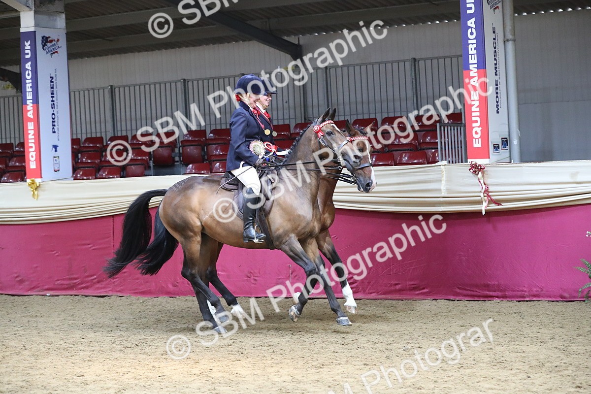 SBM_13789 - Class 109 Ridden Pairs - Section B